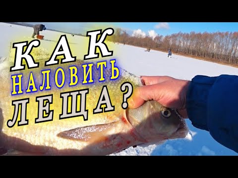 Видео: Секреты ловли леща зимой! КАК ЛОВИТЬ ЛЕЩА ЗИМОЙ! Рыбалка на леща зимой для начинающих рыбаков