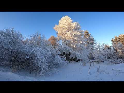 Видео: Обзорная экскурсия по г. Нерюнгри (все школы города)