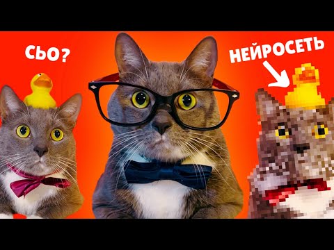 Видео: КОТИКИ vs НЕЙРОСЕТЬ