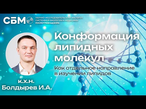 Видео: БОЛДЫРЕВ: «Конформация липидных молекул»