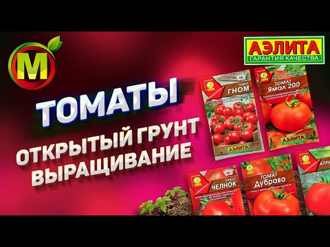 Видео: Томаты для открытого грунта. Выращивание в 2021 году