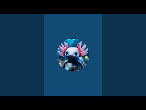 Видео: 🌊 𝖁𝖔дя𝖓𝖔й 🌊 в прямом эфире! на прогулки