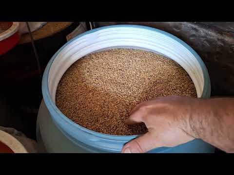 Видео: Обзор хозяйства и чудо бочки