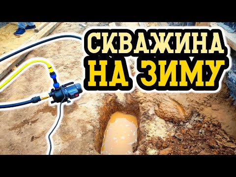 Видео: Абиссинка на круглый год без утепления