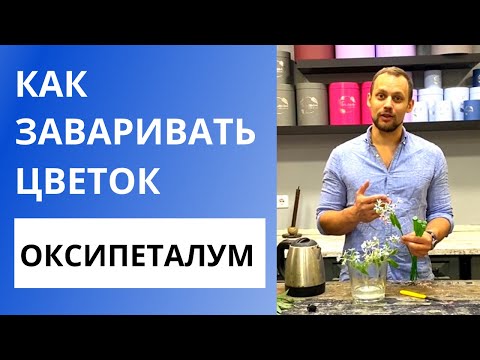 Видео: ЗАВАРИВАТЬ ЦВЕТОК? | Уход за срезанными цветами. Как работать с цветком Оксипеталум. #Shorts