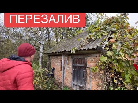 Видео: 629. ОБЗОР. Купил два дома, с баней у реки, на одном участке. 📍Поречье. ПЕРЕЗАЛИВ ВИДЕО. 