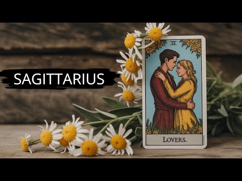 Видео: СТРЕЛЕЦ 😲ЭТО ПРОИЗОЙДЁТ МЕЖДУ ВАМИ И ВАШИМ ЧЕЛОВЕКОМ СЕЙЧАС!💞 ТАРО ЛЮБВИ НА ОКТЯБРЬ 2025