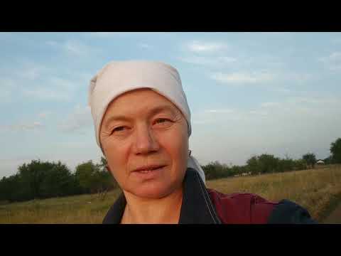 Видео: Какую козу выбрать "удойную" или " стабильную"? Козы "твари" или ....? Продажа козлят оптом .