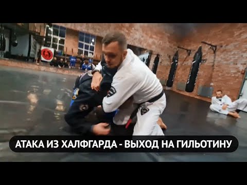 Видео: Атака из халфгарда - выход на гильотину