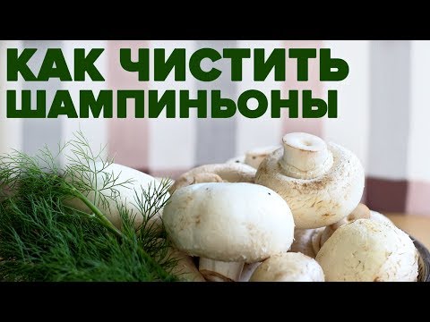 Видео: Как чистить шампиньоны перед готовкой