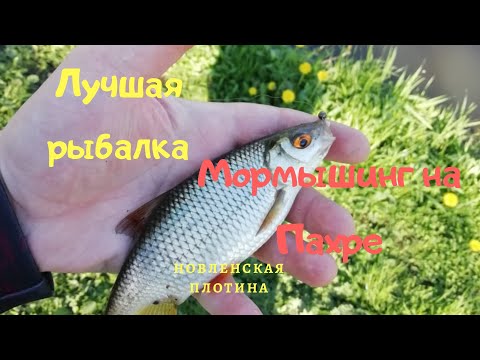 Видео: Мормышинг на Пахре ! Лучшая рыбалка! Рыба в ударе ! Новленская плотина .