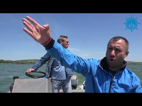 Видео: Стефан Петров, ОЗБГ и ИАРА - видео 9