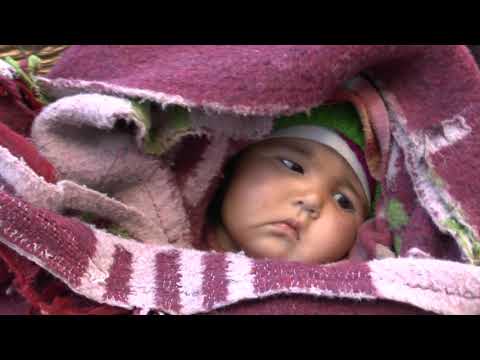 Видео: Индия, Лех, Ладакх