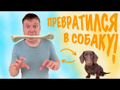 Видео: Малой ПРЕВРАТИЛСЯ В СОБАКУ!