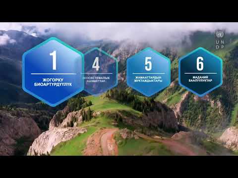 Видео: Жаратылышты коргоо баалуулугу жогору токойлор