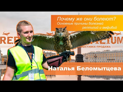 Видео: Почему же они болеют?Основные причины болезней                            рептилий и амфибий