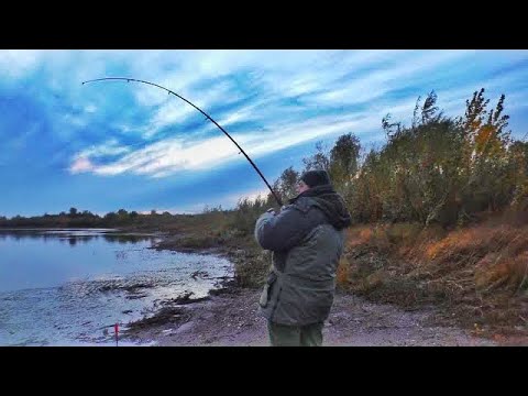 Видео: ЧТО ОН ТАМ ТАЩИТ?! УДОЧКА В ДУГУ! рыбалка на реке Чулым
