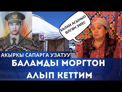 Видео: Балам катты өзү жазган жок