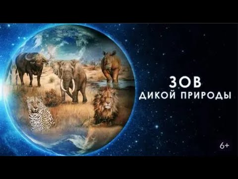 Видео: ЧУДЕСА ГОЛУБОЙ ПЛАНЕТЫ!  Зов дикой природы.  СЕМЕЙНЫЙ КАНАЛ