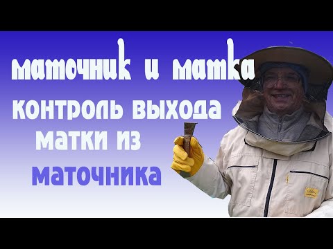 Видео: Выход Маток из Маточников.  Смотреть до конца.