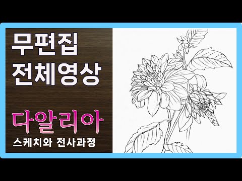 Видео: [Неотредактированное-полное видео] Королева Осенних Цветов | Эскиз георгина и транскрипция