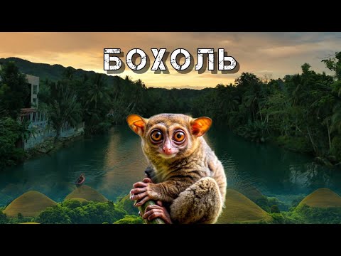 Видео: Филиппины 2025 | Бохоль | Панглао
