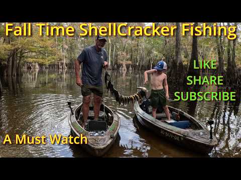 Видео: «Лучшая осенняя рыбалка на реке Литл-Пи-Ди! 🎣 Ослиные ракушки и лещ в огне!»