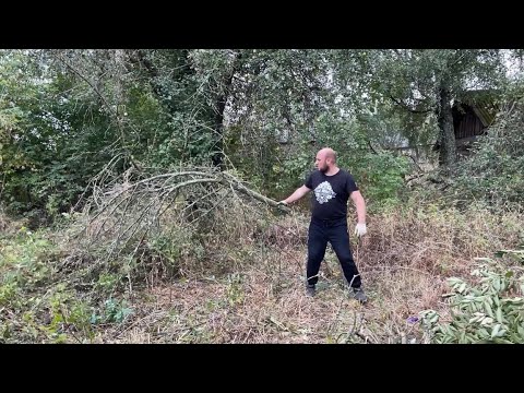 Видео: #28 ЗАБРОШЕННЫЙ ДОМ/ Увидели просвет и забор соседей / Носим кирпичи /Тачки нет и не будет!