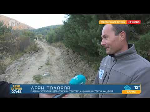 Видео: Тази сутрин: Булдозери на Витоша: Какво прави тежката техника в планината?