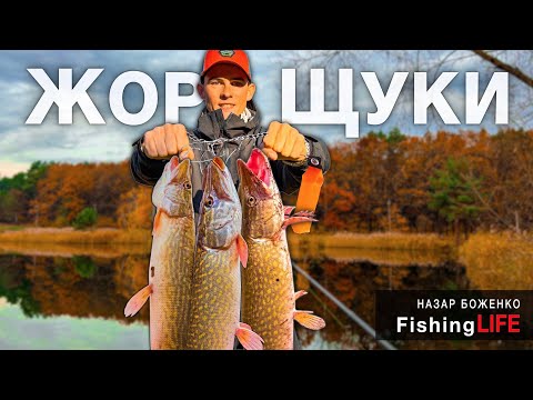 Видео: ЖОР Щуки Вже Розпочався - Нове Озеро ДІДИЛІВ