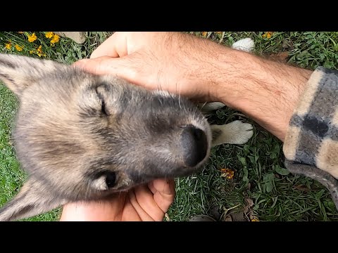 Видео: Мы тебя никогда не забудем