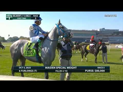 Видео: R5 Belmont в Большом А 05-10-25