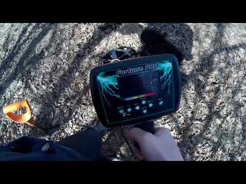 Видео: Фортуна-ПРО в реальных условиях