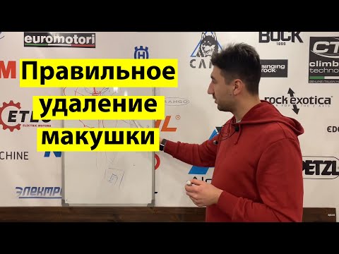 Видео: Правильное удаление макушки дерева