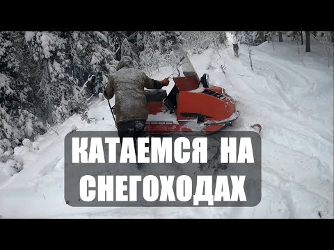 Видео: КАТАЕМСЯ НА ДВУХ СНЕГОХОДАХ. Буран и БТС Арктик. Куница на фотоловушку.