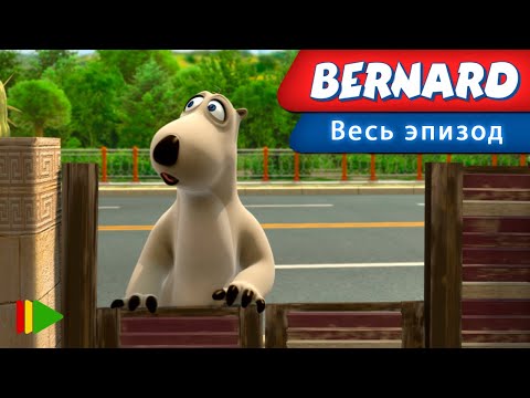 Видео: Бернард - 73 - Арена для боя быков | Мультфильмы |