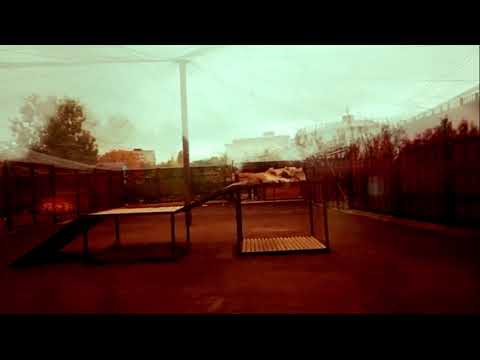 Видео: PWDJ7872 Шархан Вечер 09 10 2025 Видео от Ивана