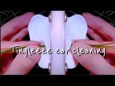 Видео: ASMR Интенсивная чистка ушей острыми и необычными инструментами 💖 ★ Гарантия покалывания ★