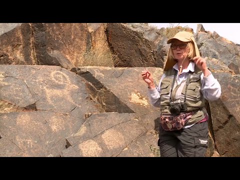 Видео: Самое крупное скопление петроглифов нашли неподалёку от Талдыкоргана