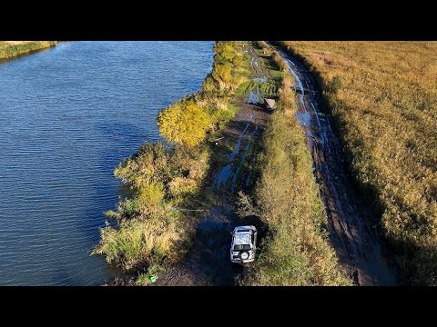 Видео: Жор Сазана на р.Дністер