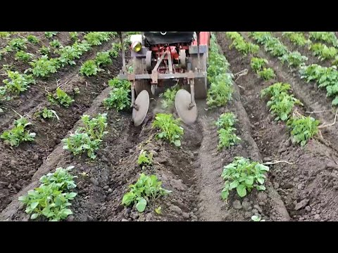 Видео: ок"учивание блинами, недодисками