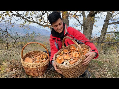 Видео: Рыжики, часть 3. Еле несу! Новые места, секреты, находки)