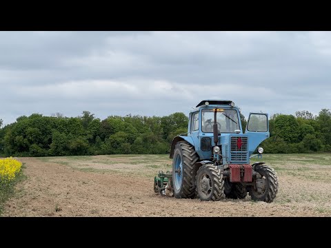 Видео: Рвемо землю під ПОСІВНУ!!Морози і сніг не відступають