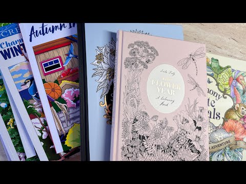 Видео: Покупочки🥰 Мои долгожданные раскраски 🥰