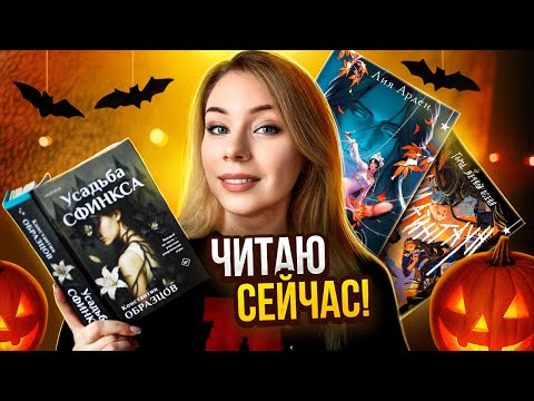 Видео: ВЛОГ из ПЕТЕРБУРГА🧡🍂Почему Невеста ноября так популярна?🔥Самые крутые новинки и Волкодав