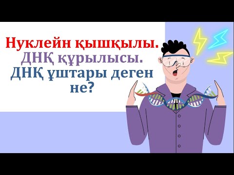 Видео: Нуклейн қышқылдары. ДНҚ ұштары. З' және 5' дегеніміз не? ДНҚ құрылысы. Азотты негіздер.