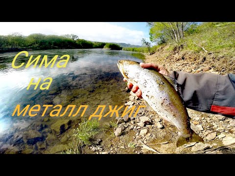 Видео: Ловля симы на металл джиг (пилкеры).