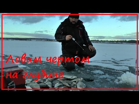 Видео: Зимняя ловля подлещика - ласточкино крыло и чертик на Рузе на больших глубинах.