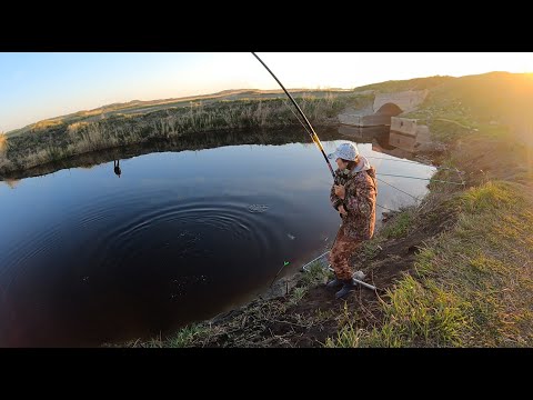 Видео: В этой ЯМЕ полно рыбы! Леска рвется от поклевок! ЗАПЕКАЮ САЗАНА! Рыбалка на поплавок