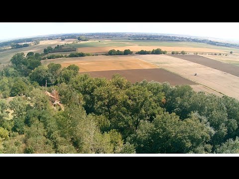 Видео: Водните лилии и мечката, местност "Мъртвиците", с.Поповица
